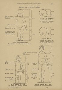 さまざまな年齢での正常な子供の体の理想的な比率の測定 作： German School
